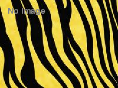 虎コン【5/17、 6/7、9/20】