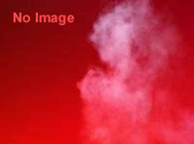 第五回 中津城人間ひな飾り