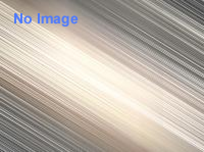 新幹線1000人レールウォーク