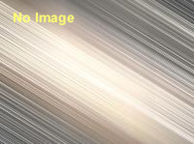 林香苗武 「透明高速」