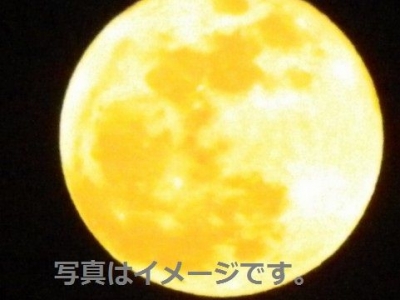 中秋節 Mid-Autumn Festival (Mooncake Day)：中国