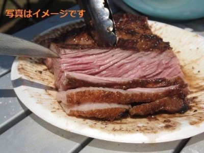 リブフェスト（Ribfest）：アメリカ