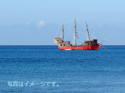 バイキングの巡礼祭（Romeria Vikinga）：スペイン