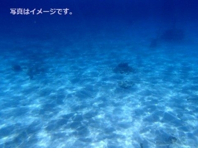 トラン水中結婚式（Trang Underwater Wedding Ceremony）：タイ