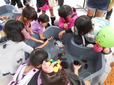 移動水族館がやってくる！ アメリカ山公園のハロウィン