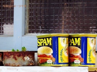 第12回ワイキキ・スパム・ジャム（12th Annual Waikiki Spam Jam)：アメリカ　ハワイ