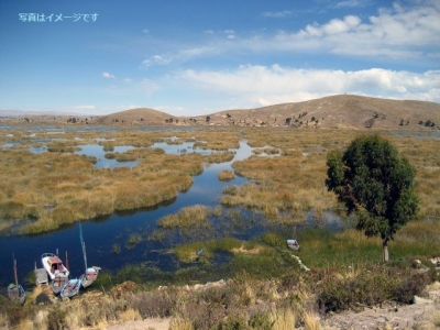 カンデラリア祭（Virgen de la Candelaria Festival)2014：ペルー