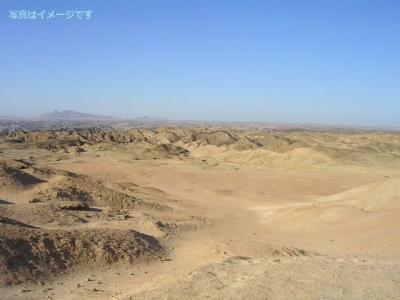 アフリカバーン（Afrika Burn）：南アフリカ