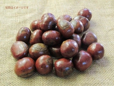 栗祭り(Chestnut Festival 、Fiera dia Castagna):フランス