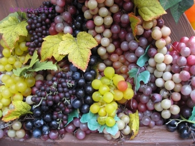 ぶどう祭り/ぶどう戦争（La Raimà）：スペイン