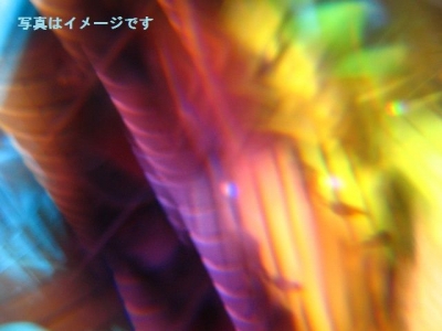 オーフス・フェスティバル（Aarhus Festuge）：デンマーク