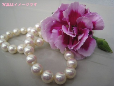 真珠祭り（Shinju Matsuri / Festival of the Pearl）：オーストラリア