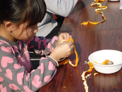 WMC～みかんの皮むき選手権2014～