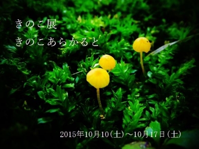 きのこ展　～きのこあらかると～