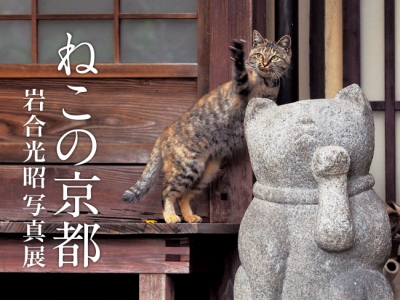 岩合光昭写真展「ねこの京都」（京都開催）