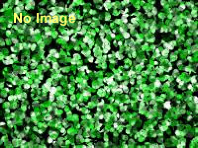 第二回狩猟サミット　in富士山 