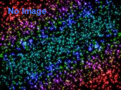 モザイク美の世界　