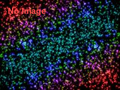 世界文化遺産 姫路城　ナイトアドベンチャー　煌　～KIRAMEKI～