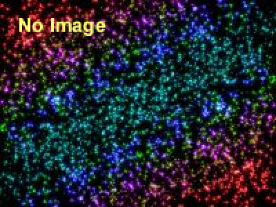 【植物園で温まろう。】植物でたどるクリスマス