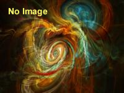 伊庭の阪下し祭り