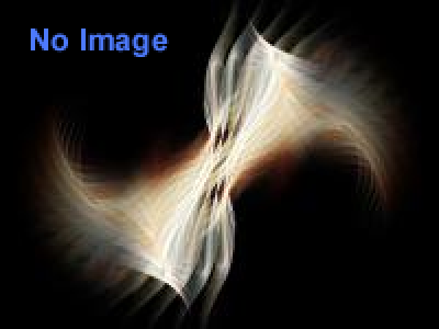 第2回ハシビロコウ祭り