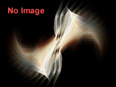 かみ、さまざま　- 広がる和紙の世界