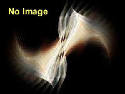 森ハルト展「光、影、天使」