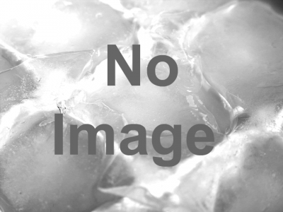 世界の海獣模型展 