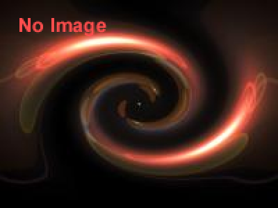 世界のアートな木の玩具展　