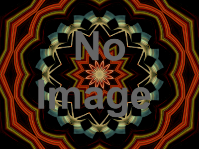 ふたたびの出会い