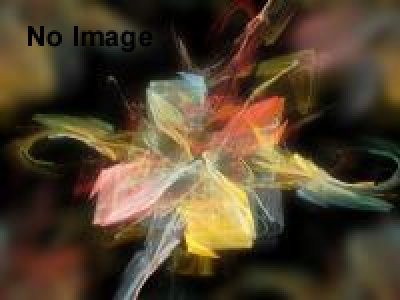 白井晴幸 「どろん景」