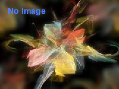 松元久子 「いきているふく－妄執」