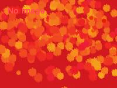 太陽のマルシェ　トマトすくい