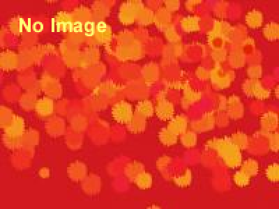 第9回からあげフェスティバル 