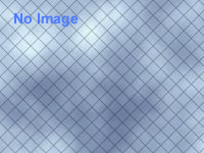 ワンダーフェスティバル2013（夏） 