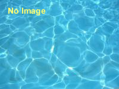 水軍レース大会