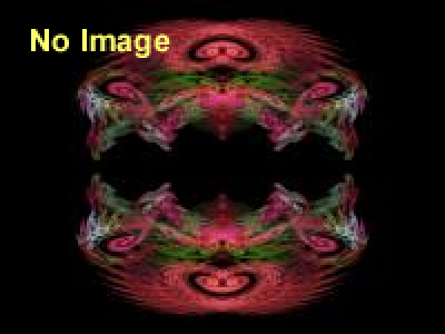 HALLOWEEN ZOMBIES 2014