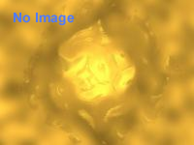 第５回 come come はにコット 