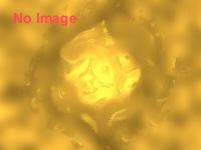 1番機と初日の出を見よう（2015）