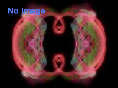 イノブータン王国建国28周年祭＆イノブタダービー