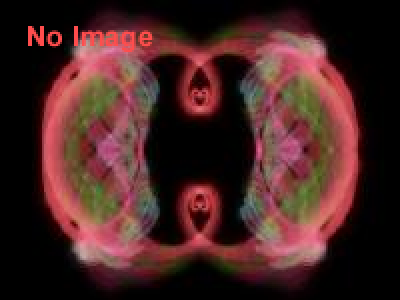 種村季弘の眼　迷宮の美術家たち