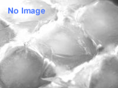 実物大！「白鳥星座の聖衣箱」アイスワールドに眠る！ 