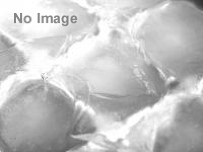 第28回国宝松本城 氷彫フェスティバル