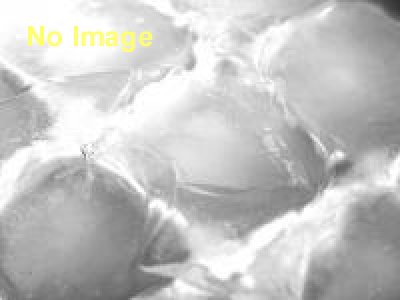 地ビールフェスト甲府2013