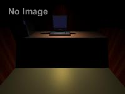 ひろせなおき 「東京ネットカフェ犯行記」