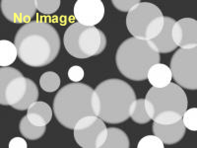 第65回さっぽろ雪まつり　