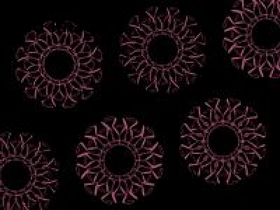 ユラリズムVol19　海と空をつなぐもの