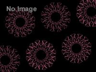 トーキョー・エクスペリメンタル・フェスティバルVol.9　TEFサウンド・インスタレーション 