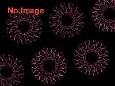 ひこね市民大学講座 芸術学部 遠藤慎也 「特殊メイクと立体造形」