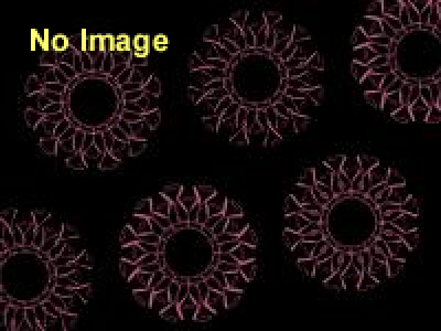 エロティックグラマー展